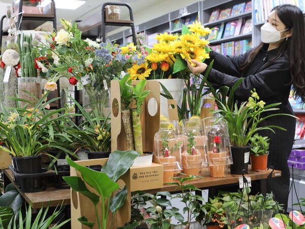 [▲롯데마트는 3월 16일까지 ‘봄맞이 그린테라피’에 탁월한 반려 식물, 봄꽃 행사를 진행한다 = ©롯데쇼핑]