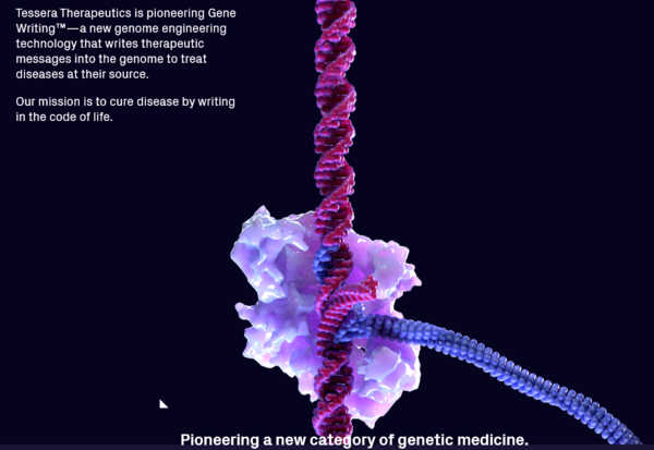 ©AP신문(AP뉴스)/ 이미지 제공 = 한화임팩트