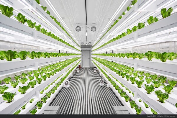 ©AP신문(AP뉴스)/ 이미지 제공 = 이마트, ▲엔씽 스마트팜 내부 전경