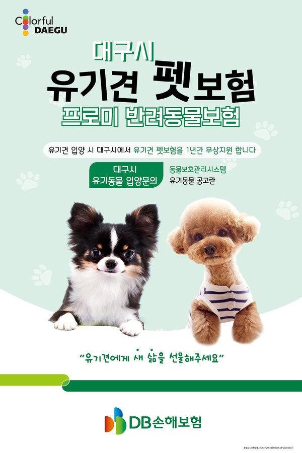 ©AP신문(AP뉴스)/ 이미지 제공 = DB손해보험