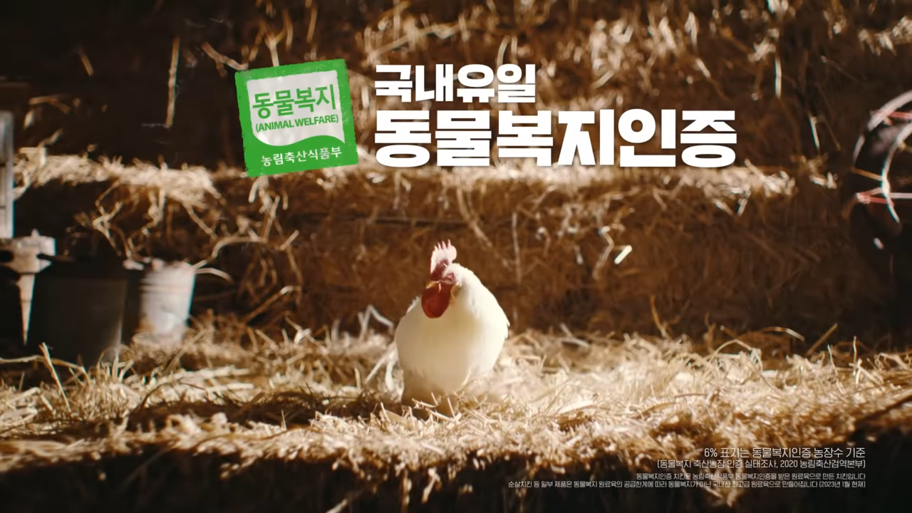 [AP신문 광고평론 No.724] 실제 닭이 광고에 등장한다. 사진 자담치킨 유튜브 캡처 ⓒAP신문