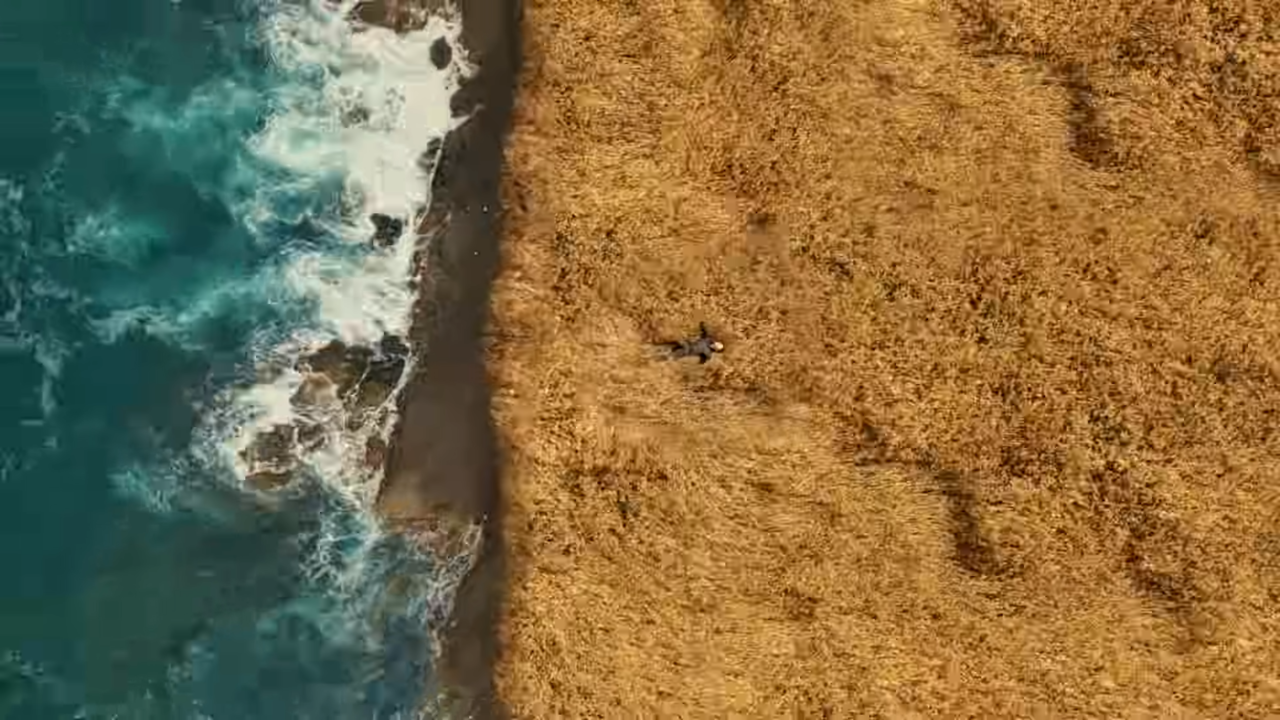 [AP신문 광고평론 No.904] 바다와 보리밭의 색감 대비가 선명하다. 사진 하이트진로 유튜브 캡처 ⓒAP신문(AP뉴스)