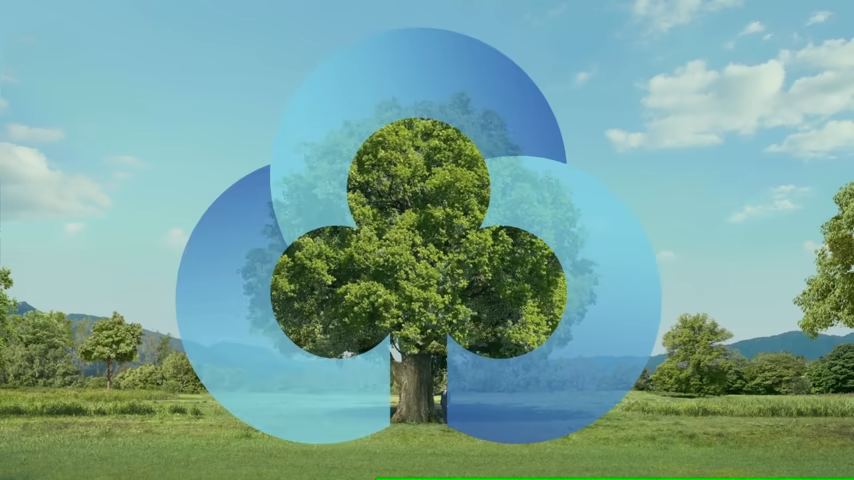 [AP신문 광고평론 No.970]  로고가 나무의 모습을 형상화한 것임을 알렸다. 사진 MG새마을금고 유튜브 캡처 ⓒAP신문(AP뉴스)