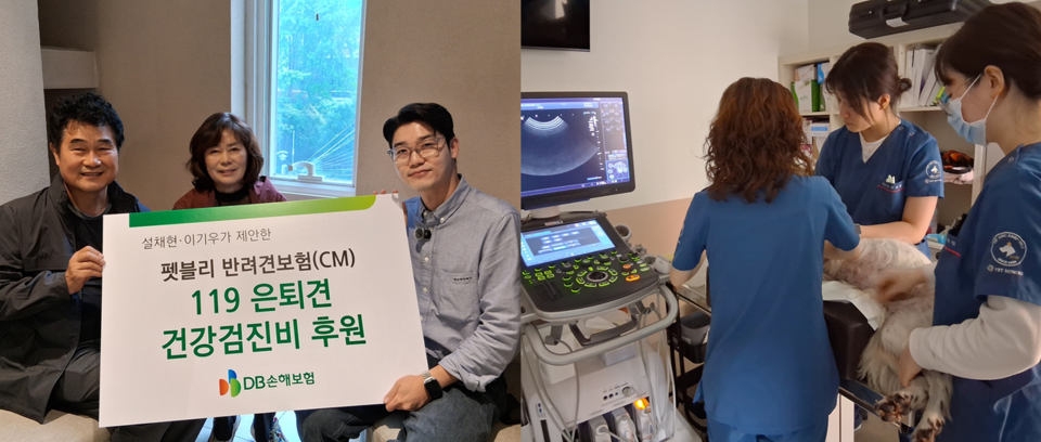 ©AP신문(AP뉴스)/이미지 제공 = DB손해보험 ▲지난 9일 서울시 강남구 설채현 수의사 동물병원에서 119은퇴견 다솔이에 대한 건강검진을 진행하고 기념촬영을 하고 있다.