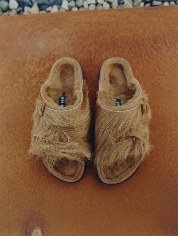 ⓒAP신문(AP뉴스)