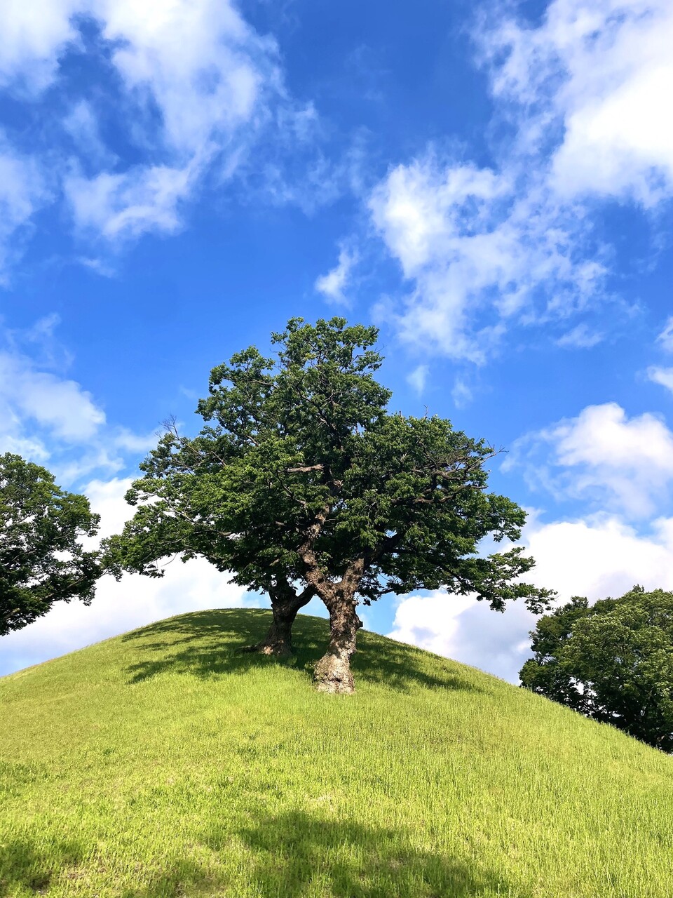 ©AP신문(AP뉴스)/이미지 제공 = HS효성 ▲‘제2회 HS효성 2026 사진 공모전’ 당선작
