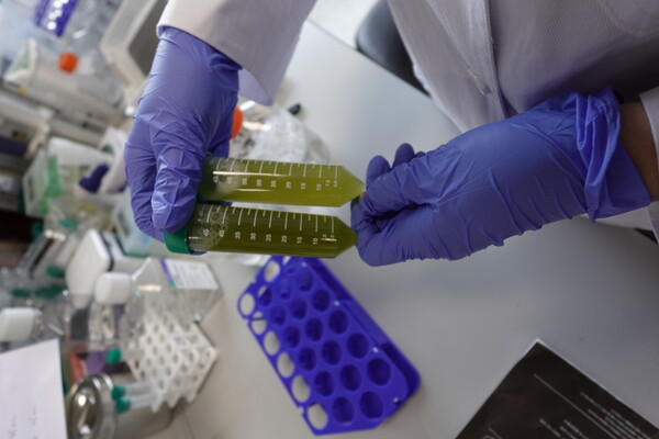 사진제공 = 에이바이오머티리얼즈