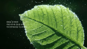 다큐급 비주얼로 담아낸 상생 비전...한화그룹 새 광고 - 뉴스 썸네일 이미지