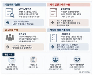 [상법 개정과 운용사 의결권②] '찬성' 근거?...지분구조 놓치고 회사 설... - 뉴스 썸네일 이미지